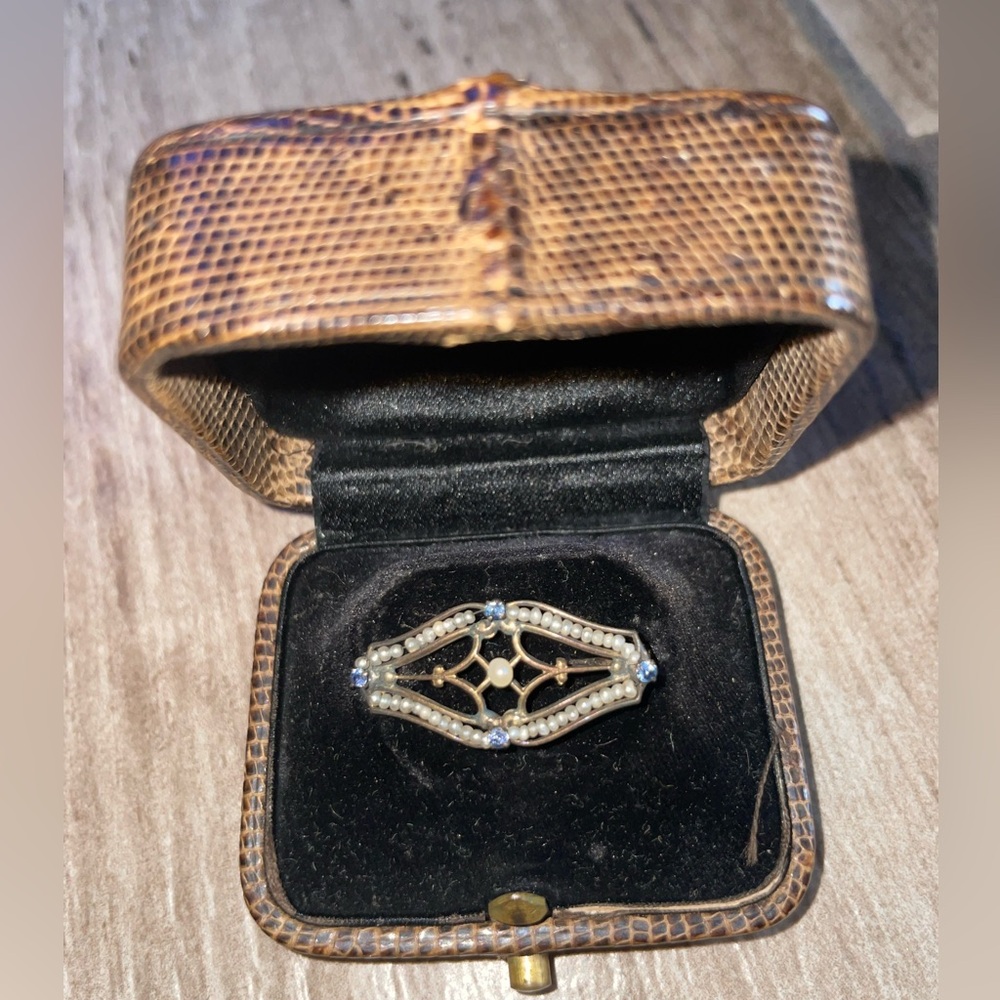 Vintage Tiffany & Co Lizard Skin Box and Pin